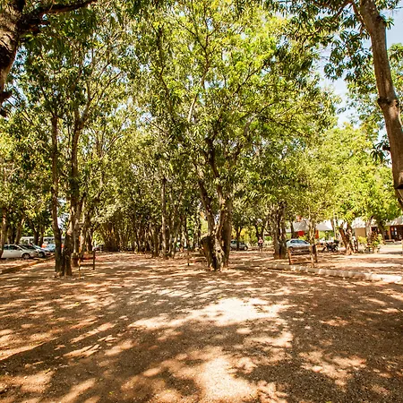 Hotel Fazenda Mato Grosso-2